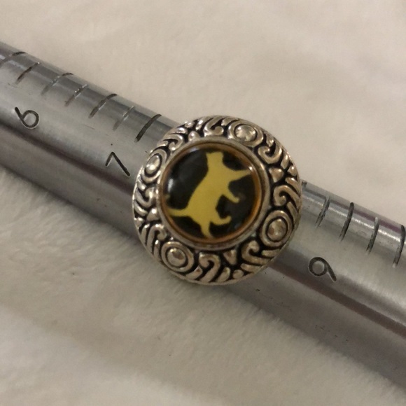 Magnetic Ring with Charms - Picture 3 of 4